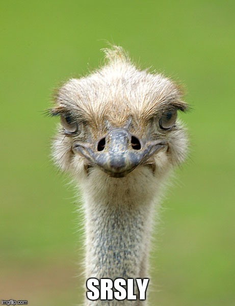 Shocked ostrich | SRSLY | image tagged in ostrich,philly,superbowl | made w/ Imgflip meme maker