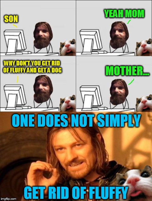 Fluffy is Evilmandoevil's version of a Teddy Bear | YEAH MOM; SON; WHY DON'T YOU GET RID OF FLUFFY AND GET A DOG; MOTHER... ONE DOES NOT SIMPLY; GET RID OF FLUFFY | image tagged in meme,evilmandoevil,fluffy,dog,one does not simply,cat | made w/ Imgflip meme maker