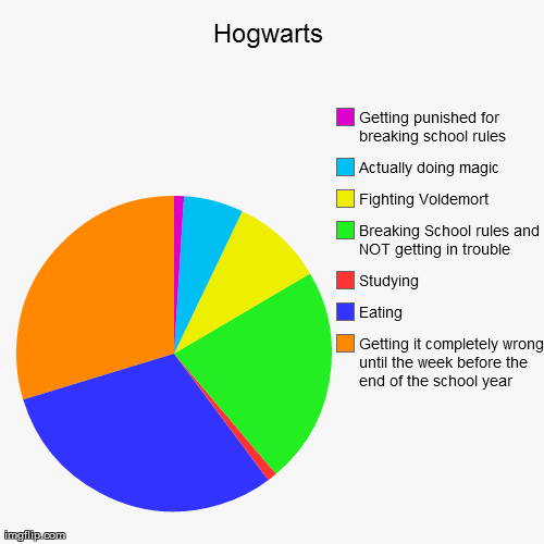 image tagged in funny,pie charts | made w/ Imgflip chart maker