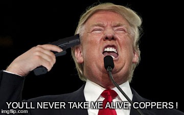 YOU'LL NEVER TAKE ME ALIVE, COPPERS ! | image tagged in donald trump is an idiot | made w/ Imgflip meme maker