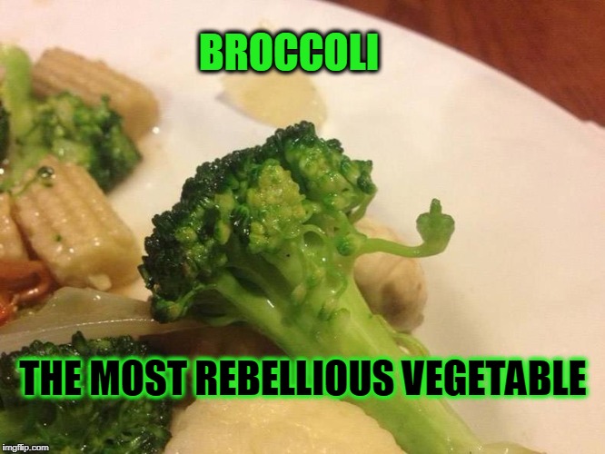 BROCCOLI; THE MOST REBELLIOUS VEGETABLE | image tagged in brock,broccoli,middle finger | made w/ Imgflip meme maker