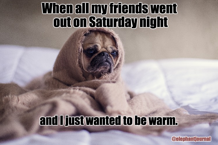 My Saturday Night | When all my friends went out on Saturday night; and I just wanted to be warm. @elephantjournal | image tagged in saturday night,homebody,home alone,i love pugs | made w/ Imgflip meme maker