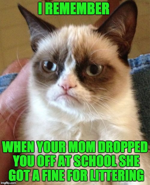 Grumpy Cat Meme | I REMEMBER; WHEN YOUR MOM DROPPED YOU OFF AT SCHOOL SHE GOT A FINE FOR LITTERING | image tagged in memes,grumpy cat,littering,funny | made w/ Imgflip meme maker