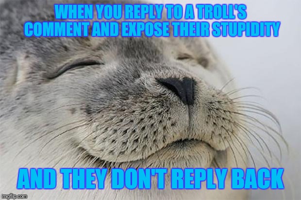 Now THAT is victory! | WHEN YOU REPLY TO A TROLL'S COMMENT AND EXPOSE THEIR STUPIDITY; AND THEY DON'T REPLY BACK | image tagged in memes,satisfied seal,troll,imgflip trolls | made w/ Imgflip meme maker