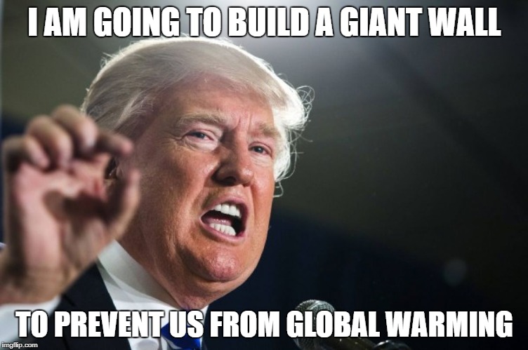 donald trump | I AM GOING TO BUILD A GIANT WALL; TO PREVENT US FROM GLOBAL WARMING | image tagged in donald trump | made w/ Imgflip meme maker
