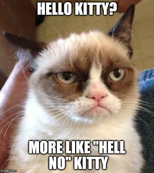 Grumpy Cat Reverse | HELLO KITTY? MORE LIKE "HELL NO" KITTY | image tagged in memes,grumpy cat reverse,grumpy cat | made w/ Imgflip meme maker