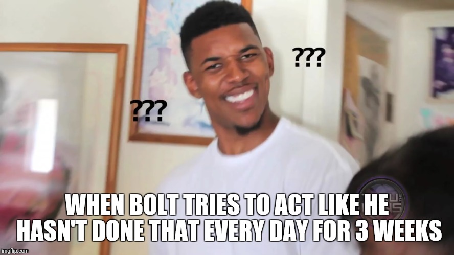 black guy question mark | WHEN BOLT TRIES TO ACT LIKE HE HASN'T DONE THAT EVERY DAY FOR 3 WEEKS | image tagged in black guy question mark | made w/ Imgflip meme maker