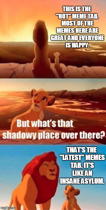 Simba Shadowy Place | THIS IS THE "HOT" MEME TAB. MOST OF THE MEMES HERE ARE GREAT AND EVERYONE IS HAPPY. THAT'S THE "LATEST" MEMES TAB. IT'S LIKE AN INSANE ASYLUM. | image tagged in memes,simba shadowy place,hot memes,latest,latest memes,imgflip | made w/ Imgflip meme maker
