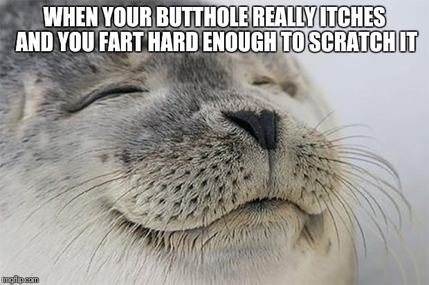 Satisfied Seal | WHEN YOUR BUTTHOLE REALLY ITCHES AND YOU FART HARD ENOUGH TO SCRATCH IT | image tagged in memes,satisfied seal,butthole,fart | made w/ Imgflip meme maker