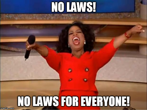 NO LAWS! NO LAWS FOR EVERYONE! | image tagged in memes,oprah you get a | made w/ Imgflip meme maker