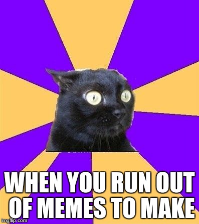 anxiety cat | WHEN YOU RUN OUT OF MEMES TO MAKE | image tagged in anxiety cat | made w/ Imgflip meme maker