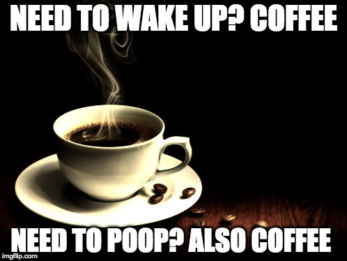 You awake? | NEED TO WAKE UP? COFFEE; NEED TO POOP? ALSO COFFEE | image tagged in coffee lust,wake up,coffee | made w/ Imgflip meme maker