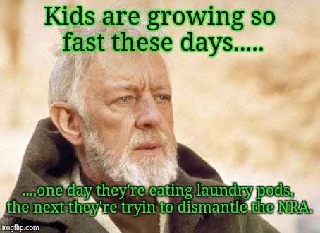 Obi Wan Kenobi | Kids are growing so fast these days..... ....one day they're eating laundry pods, the next they're tryin to dismantle the NRA. | image tagged in memes,obi wan kenobi | made w/ Imgflip meme maker