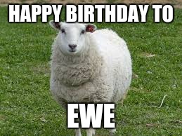 HAPPY BIRTHDAY TO EWE | image tagged in ewe | made w/ Imgflip meme maker