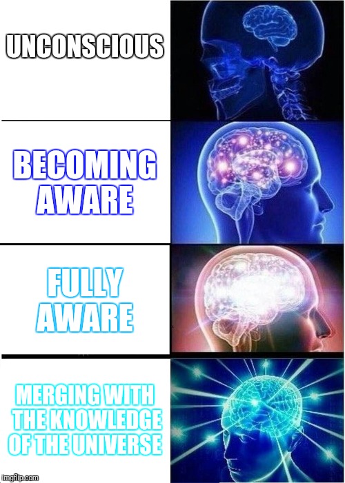 Expanding Brain | UNCONSCIOUS; BECOMING AWARE; FULLY AWARE; MERGING WITH THE KNOWLEDGE OF THE UNIVERSE | image tagged in memes,expanding brain,universal knowledge,knowledge,think about it | made w/ Imgflip meme maker