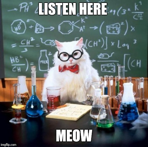 All I could think of was super troopers when I saw this! | LISTEN HERE; MEOW | image tagged in memes,chemistry cat,funny memes,meow,super troopers | made w/ Imgflip meme maker