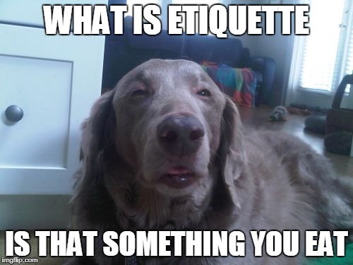 High Dog | WHAT IS ETIQUETTE; IS THAT SOMETHING YOU EAT | image tagged in memes,high dog | made w/ Imgflip meme maker