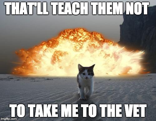 no vets | THAT'LL TEACH THEM NOT; TO TAKE ME TO THE VET | image tagged in cat explosion | made w/ Imgflip meme maker