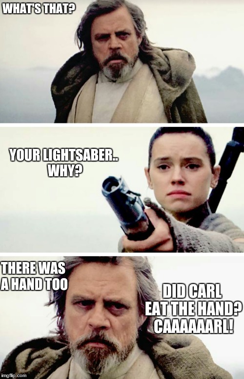 WHAT'S THAT? YOUR LIGHTSABER.. WHY? THERE WAS A HAND TOO; DID CARL EAT THE HAND? CAAAAAARL! | image tagged in star wars,llamas with hats | made w/ Imgflip meme maker
