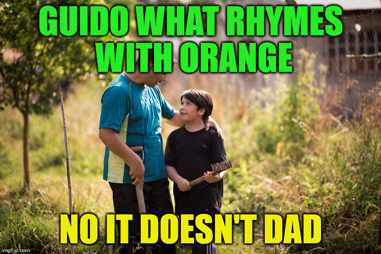 rhymes | GUIDO WHAT RHYMES WITH ORANGE; NO IT DOESN'T DAD | image tagged in orange,orange is the new black | made w/ Imgflip meme maker