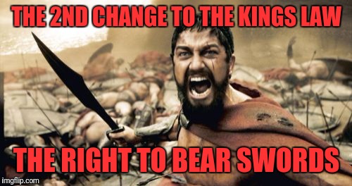 Sparta Leonidas Meme | THE 2ND CHANGE TO THE KINGS LAW THE RIGHT TO BEAR SWORDS | image tagged in memes,sparta leonidas | made w/ Imgflip meme maker