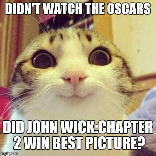 Not even a nomination for best Gun Fu? | DIDN'T WATCH THE OSCARS; DID JOHN WICK:CHAPTER 2 WIN BEST PICTURE? | image tagged in memes,smiling cat,oscars 2017 | made w/ Imgflip meme maker