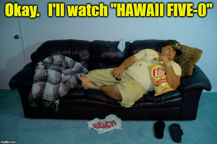 Okay.   I'll watch "HAWAII FIVE-0" | made w/ Imgflip meme maker