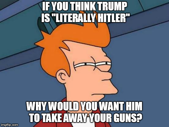 It's illogical | IF YOU THINK TRUMP IS "LITERALLY HITLER"; WHY WOULD YOU WANT HIM TO TAKE AWAY YOUR GUNS? | image tagged in memes,futurama fry,political,gun control | made w/ Imgflip meme maker