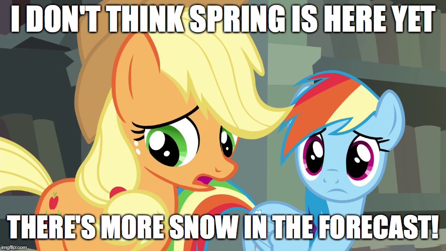 Well... shit! | I DON'T THINK SPRING IS HERE YET; THERE'S MORE SNOW IN THE FORECAST! | image tagged in memes,ponies,winter,spring,snow,well shit | made w/ Imgflip meme maker