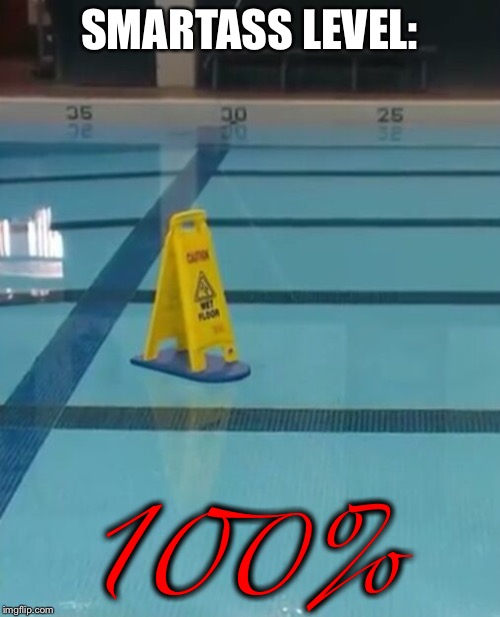 SMARTASS LEVEL:; 100% | image tagged in memes,funny memes,smartass,dumb,swimming pool,funny signs | made w/ Imgflip meme maker