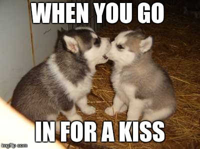 Cute Puppies | WHEN YOU GO; IN FOR A KISS | image tagged in memes,cute puppies | made w/ Imgflip meme maker