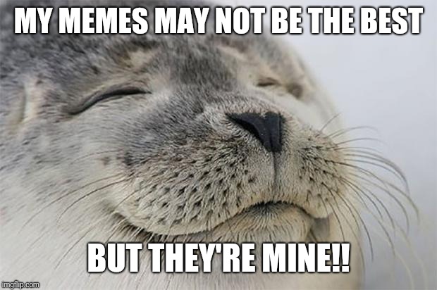 Satisfied Seal | MY MEMES MAY NOT BE THE BEST; BUT THEY'RE MINE!! | image tagged in memes,satisfied seal | made w/ Imgflip meme maker