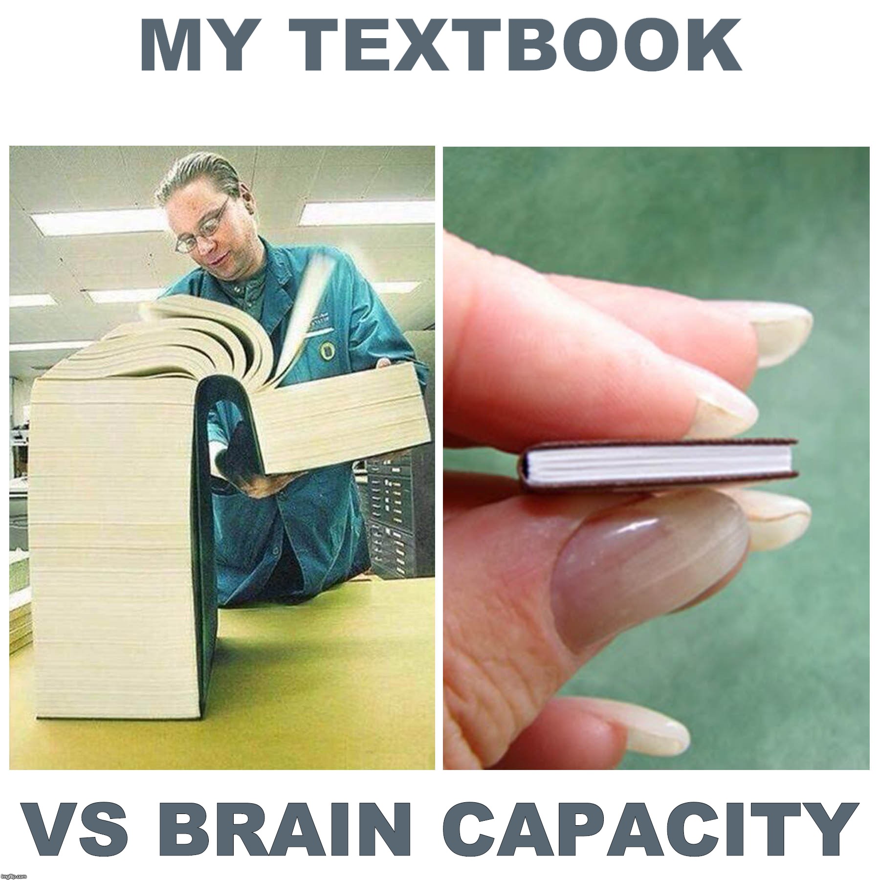 Big book vs Little Book | MY TEXTBOOK; VS BRAIN CAPACITY | image tagged in big book vs little book,big book,little book,school,knowledge | made w/ Imgflip meme maker