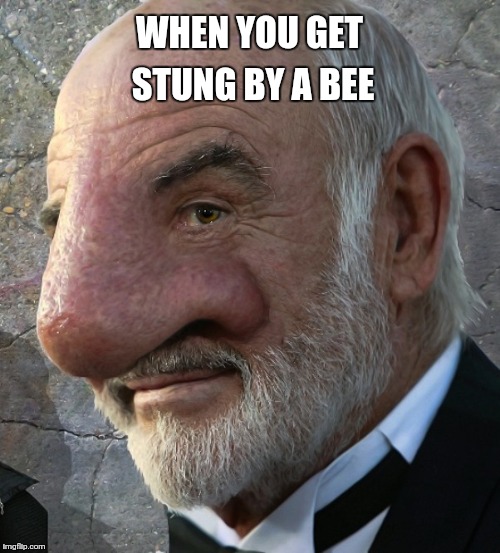 Sean Connery nose close up | WHEN YOU GET STUNG BY A BEE | image tagged in sean connery nose close up | made w/ Imgflip meme maker
