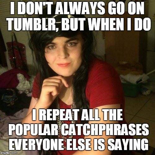I DON'T ALWAYS GO ON TUMBLR, BUT WHEN I DO I REPEAT ALL THE POPULAR CATCHPHRASES EVERYONE ELSE IS SAYING | made w/ Imgflip meme maker
