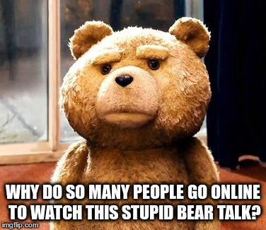 TED | WHY DO SO MANY PEOPLE GO ONLINE TO WATCH THIS STUPID BEAR TALK? | image tagged in memes,ted | made w/ Imgflip meme maker