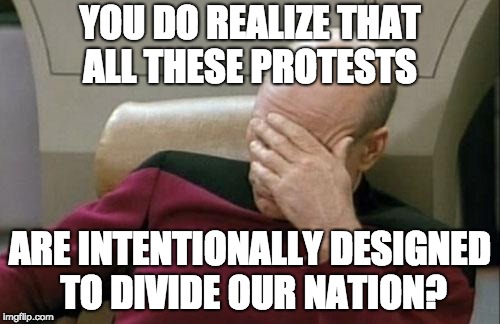 Captain Picard Facepalm | YOU DO REALIZE THAT ALL THESE PROTESTS; ARE INTENTIONALLY DESIGNED TO DIVIDE OUR NATION? | image tagged in memes,captain picard facepalm | made w/ Imgflip meme maker