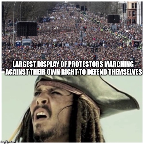 If guns are outlawed, only outlaws will have guns.  And the military.  And the cops.  Just not you... | LARGEST DISPLAY OF PROTESTORS MARCHING AGAINST THEIR OWN RIGHT TO DEFEND THEMSELVES | image tagged in protesters,gun control,march,2nd amendment,memes | made w/ Imgflip meme maker