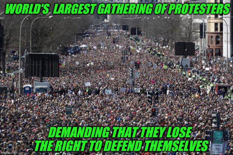 Gun Control goes full retard. | WORLD'S  LARGEST GATHERING OF PROTESTERS; DEMANDING THAT THEY LOSE THE RIGHT TO DEFEND THEMSELVES | image tagged in gun control,protesters,full retard | made w/ Imgflip meme maker