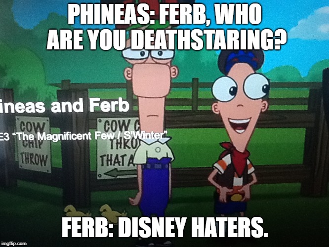 Disney needs to stop being hated. | PHINEAS: FERB, WHO ARE YOU DEATHSTARING? FERB: DISNEY HATERS. | image tagged in phineas and ferb | made w/ Imgflip meme maker