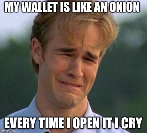 1990s First World Problems | MY WALLET IS LIKE AN ONION; EVERY TIME I OPEN IT I CRY | image tagged in memes,1990s first world problems | made w/ Imgflip meme maker