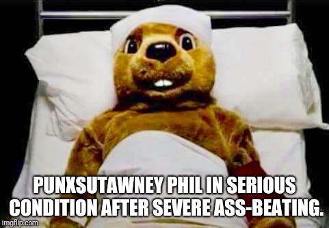 Punxsutawney Phil  | PUNXSUTAWNEY PHIL IN SERIOUS CONDITION AFTER SEVERE ASS-BEATING. | image tagged in punxsutawney phil,hospital,spring,winter,ass beating | made w/ Imgflip meme maker