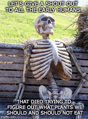 Shout Out For Plant Pioneers | LET'S GIVE A SHOUT OUT TO ALL THE EARLY HUMANS; THAT DIED TRYING TO FIGURE OUT WHAT PLANTS WE SHOULD AND SHOULD NOT EAT | image tagged in memes,waiting skeleton,plants,poison,food | made w/ Imgflip meme maker