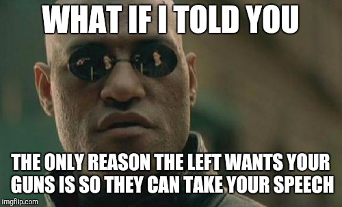 Matrix Morpheus | WHAT IF I TOLD YOU; THE ONLY REASON THE LEFT WANTS YOUR GUNS IS SO THEY CAN TAKE YOUR SPEECH | image tagged in memes,matrix morpheus,2nd amendment,1st amendment | made w/ Imgflip meme maker