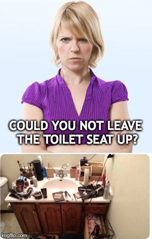 Angry Woman | COULD YOU NOT LEAVE THE TOILET SEAT UP? | image tagged in toilet humor,women,angry woman | made w/ Imgflip meme maker
