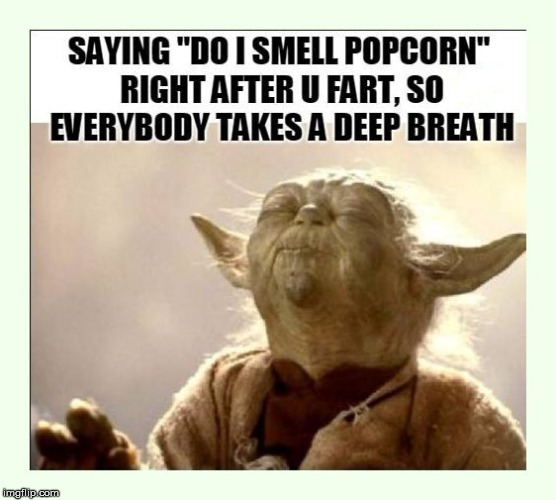 Are you a smart fellow or a fart smeller? | image tagged in yoda wisdom,advice yoda,bathroom humor,funny meme,potty humor,fart joke | made w/ Imgflip meme maker