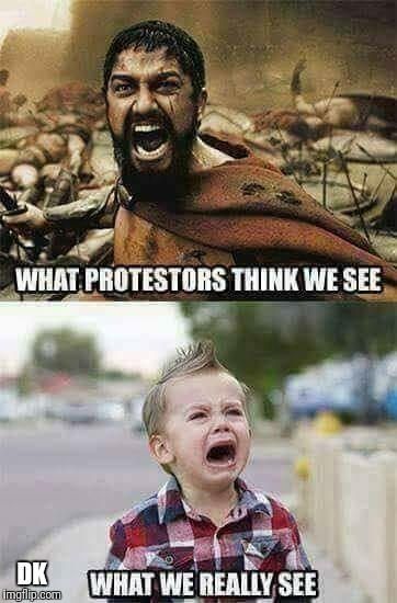 Sparta Baby | DK | image tagged in protest,protesters,retarded liberal protesters,crying baby,snowflakes,sparta leonidas | made w/ Imgflip meme maker