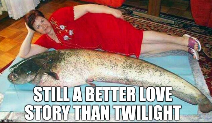She got herself quite a catch there  | STILL A BETTER LOVE STORY THAN TWILIGHT | image tagged in still a better love story than twilight,jbmemegeek,twilight,catfish,big fish | made w/ Imgflip meme maker