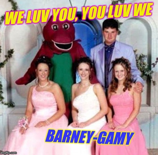 Polygamy is just wrong, you shouldn't mix Greek and Latin roots! :-) | I | image tagged in barney the dinosaur,polygamy,wedding crashers,funny,memes,lizard | made w/ Imgflip meme maker