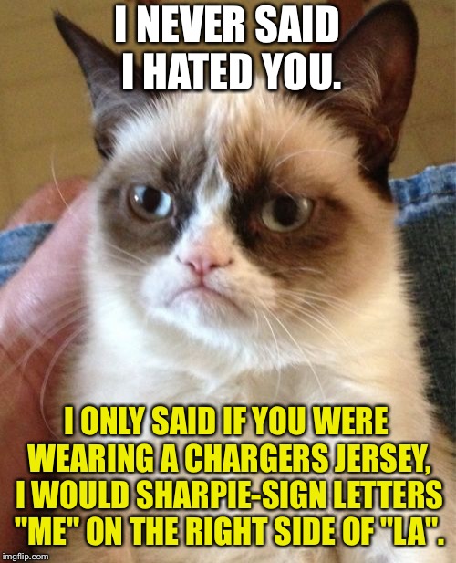 Chargers are LAme | I NEVER SAID I HATED YOU. I ONLY SAID IF YOU WERE WEARING A CHARGERS JERSEY, I WOULD SHARPIE-SIGN LETTERS "ME" ON THE RIGHT SIDE OF "LA". | image tagged in memes,grumpy cat,san diego chargers,los angeles chargers,lame,nfl memes | made w/ Imgflip meme maker